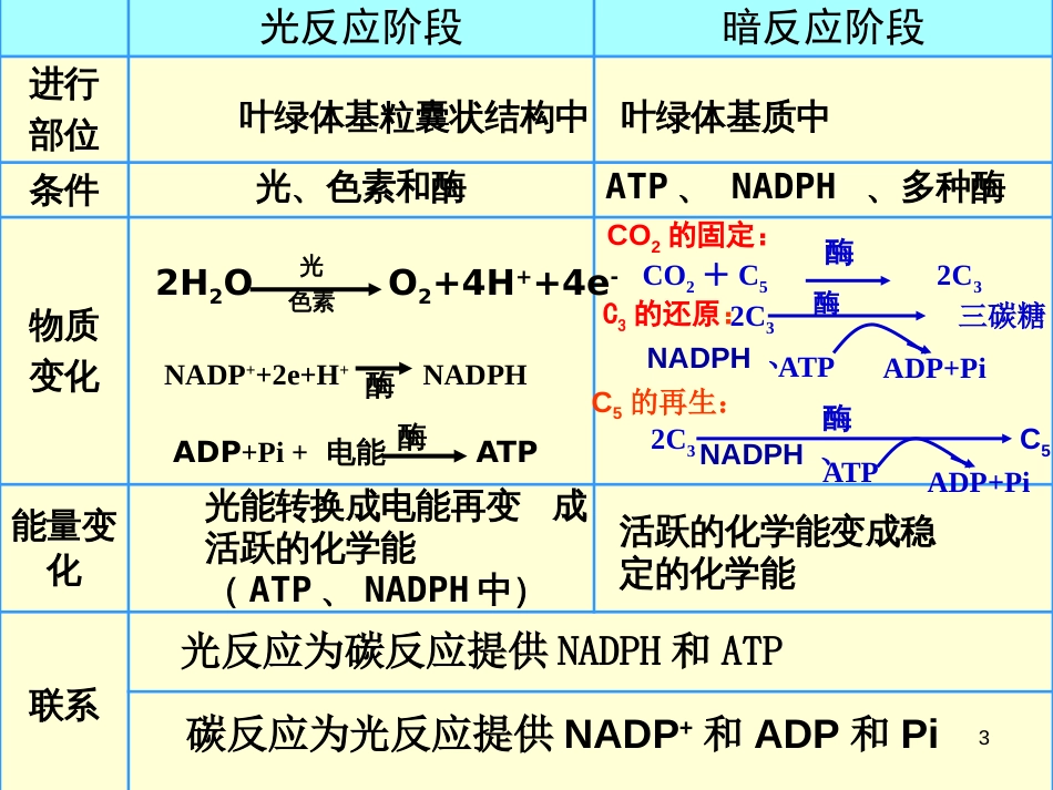高中生物《第五章 第四节 能量之源 光与光合作用》课件3 新人教版必修1_第3页
