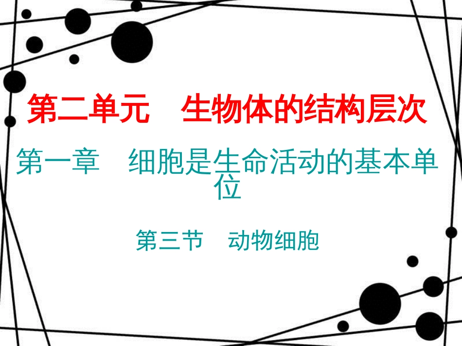 七年级生物上册 第二单元 第一章 第三节 动物细胞课件 （新版）新人教版_第1页