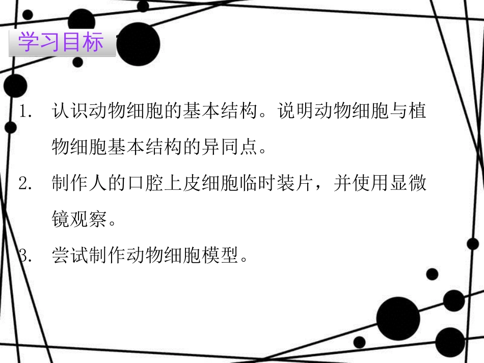 七年级生物上册 第二单元 第一章 第三节 动物细胞课件 （新版）新人教版_第2页