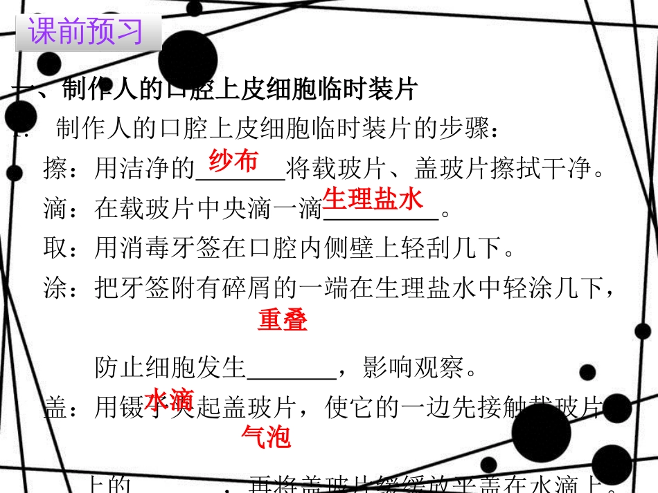七年级生物上册 第二单元 第一章 第三节 动物细胞课件 （新版）新人教版_第3页