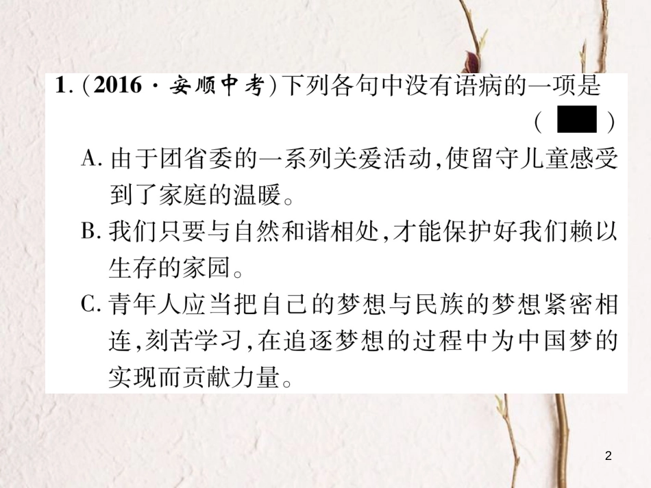 贵州省毕节市中考语文 专题三 病句修改及标点符号运用课件_第2页