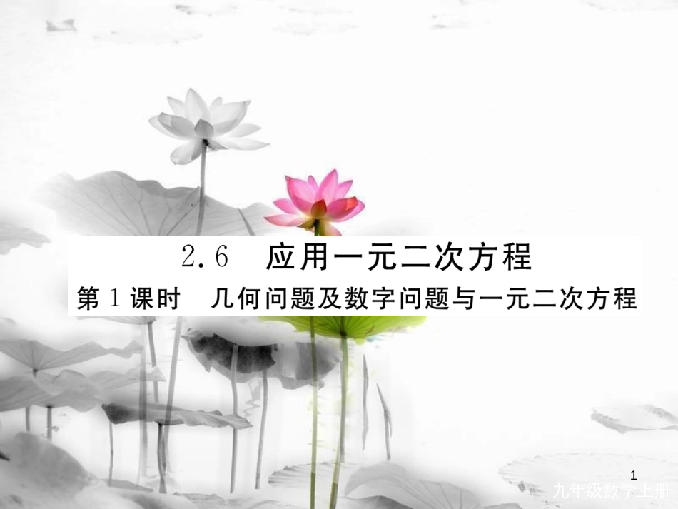 （河南专用）九年级数学上册2.6应用一元二次方程第1课时几何问题及数字问题与一元二次方程作业课件（新版）北师大版_第1页