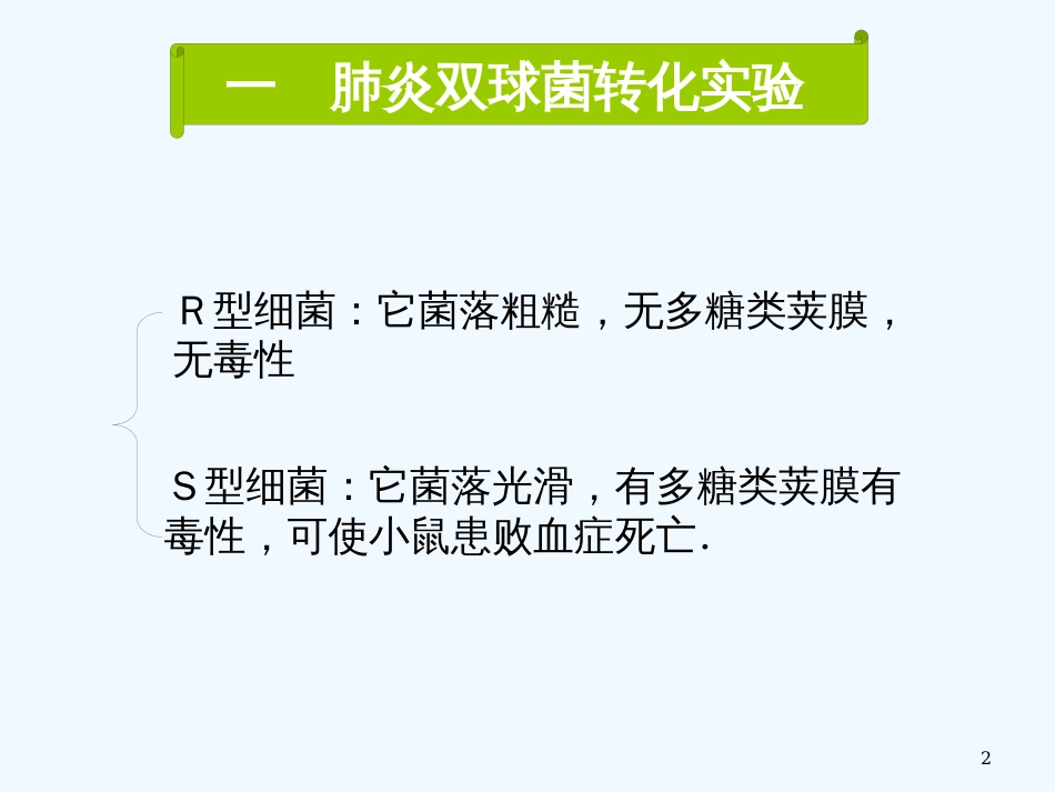 高中生物 DNA是主要的遗传物质 课件3 人教版必修2_第2页