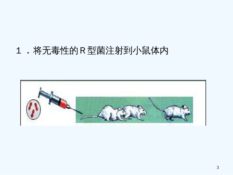 高中生物 DNA是主要的遗传物质 课件3 人教版必修2_第3页