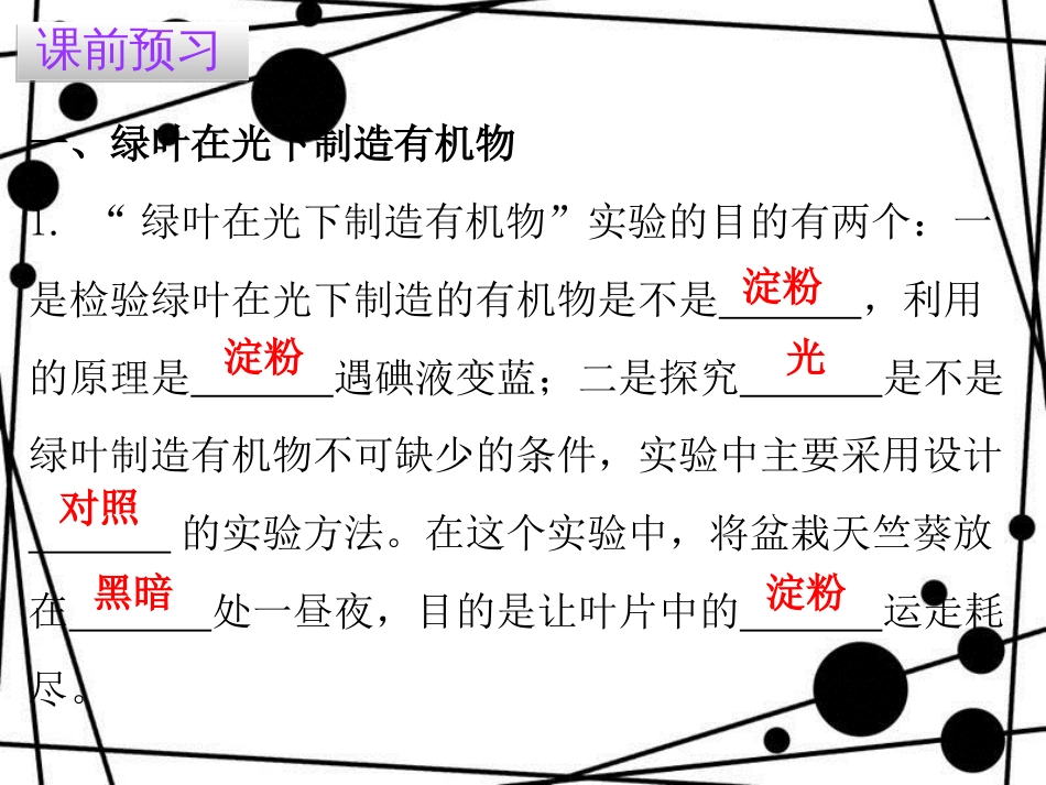 七年级生物上册 第三单元 第四章 绿色植物是生物圈中有机物的制造者课件 （新版）新人教版_第3页