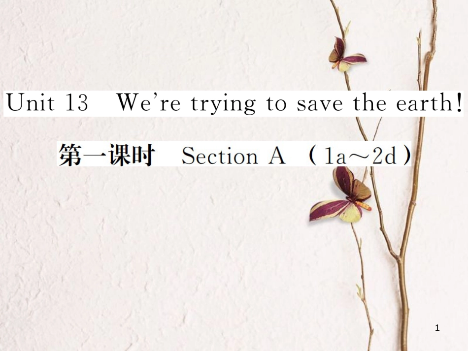 贵州省九年级英语全册Unit13We’retryingtosavetheearth（第1课时）_第1页