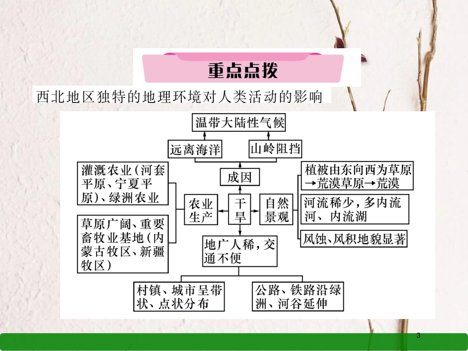 湖北省襄阳市中考地理 第24讲 西北地区复习课件1_第3页