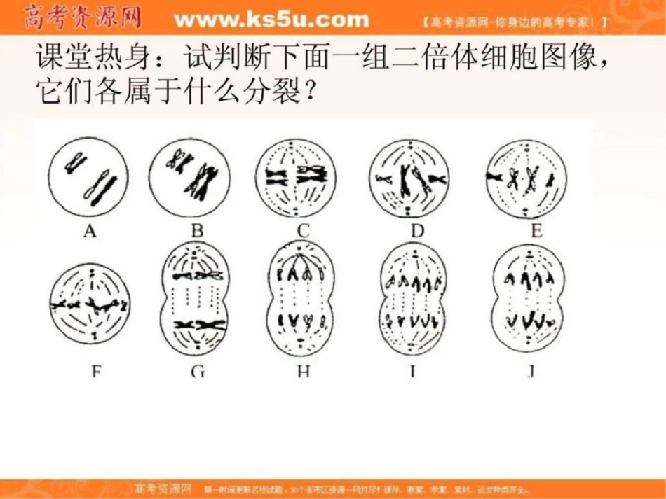 云南省新课标高考备考复习研讨会生物有丝分裂._第2页