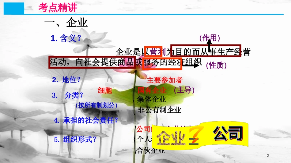 高考政治第二单元生产、劳动与经营课时2企业与劳动者核心考点一生产的微观主体-企业课件新人教版必修1_第3页