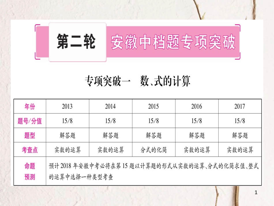 （安徽专版）中考数学总复习第二轮中档题突破专项突破1数、式的计算课件_第1页
