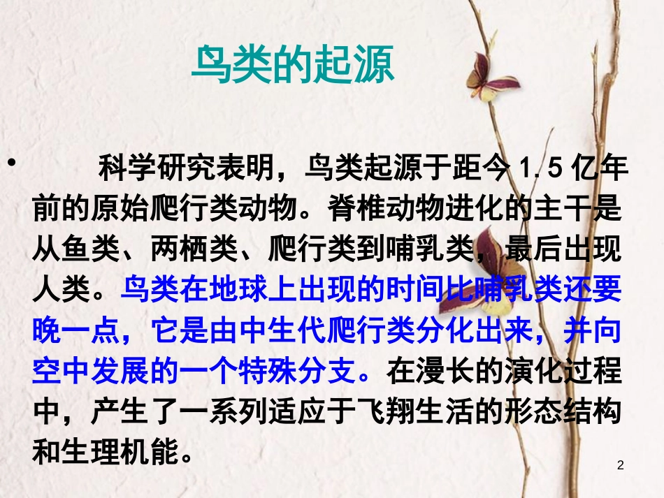 江苏省盐城市八年级语文下册 专题《鸟》课件 苏教版_第2页