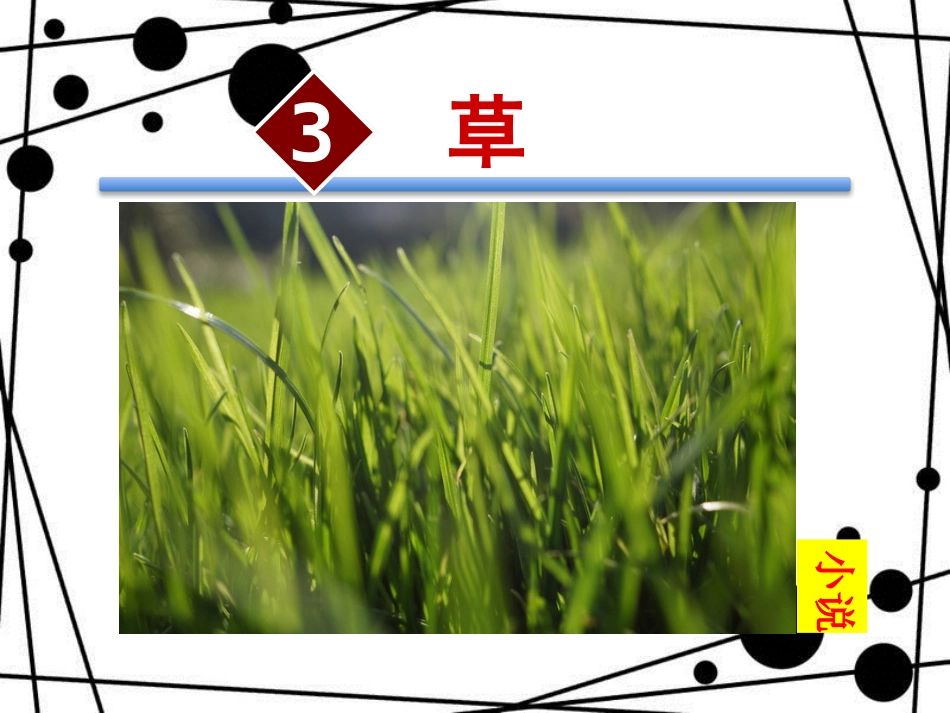 八年级语文上册 第一单元 3 草课件 苏教版_第2页