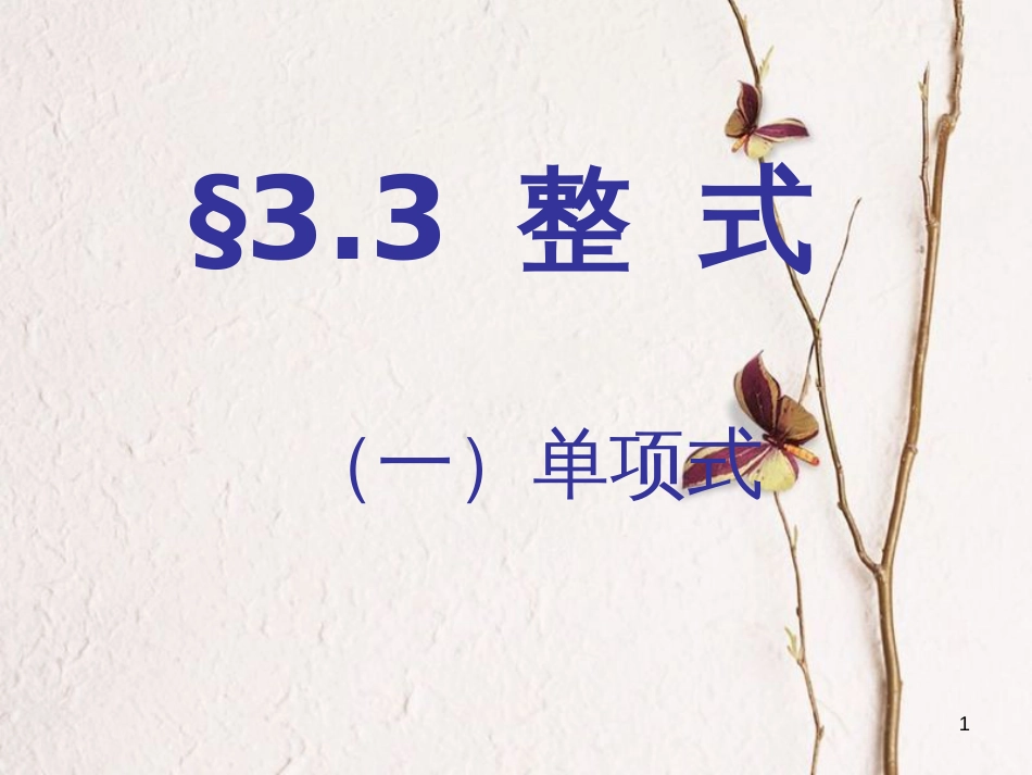 七年级数学上册 3.3 整式 3.3.1 单项式教学课件2 （新版）华东师大版_第1页