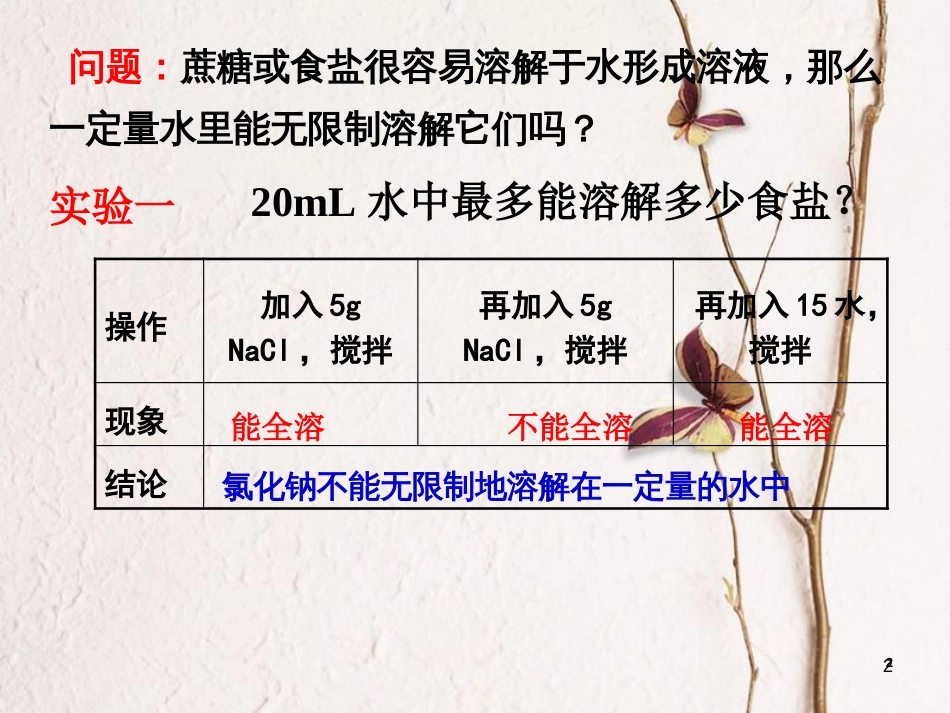 江西省赣州市定南县九年级化学下册 第九单元 溶液 课题2 溶解度（第1课时）课件 （新版）新人教版_第2页
