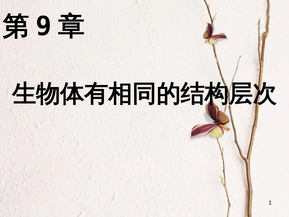 七年级生物下册 第四单元 第9章 生物体有相似的结构层次课件 （新版）苏科版_第1页
