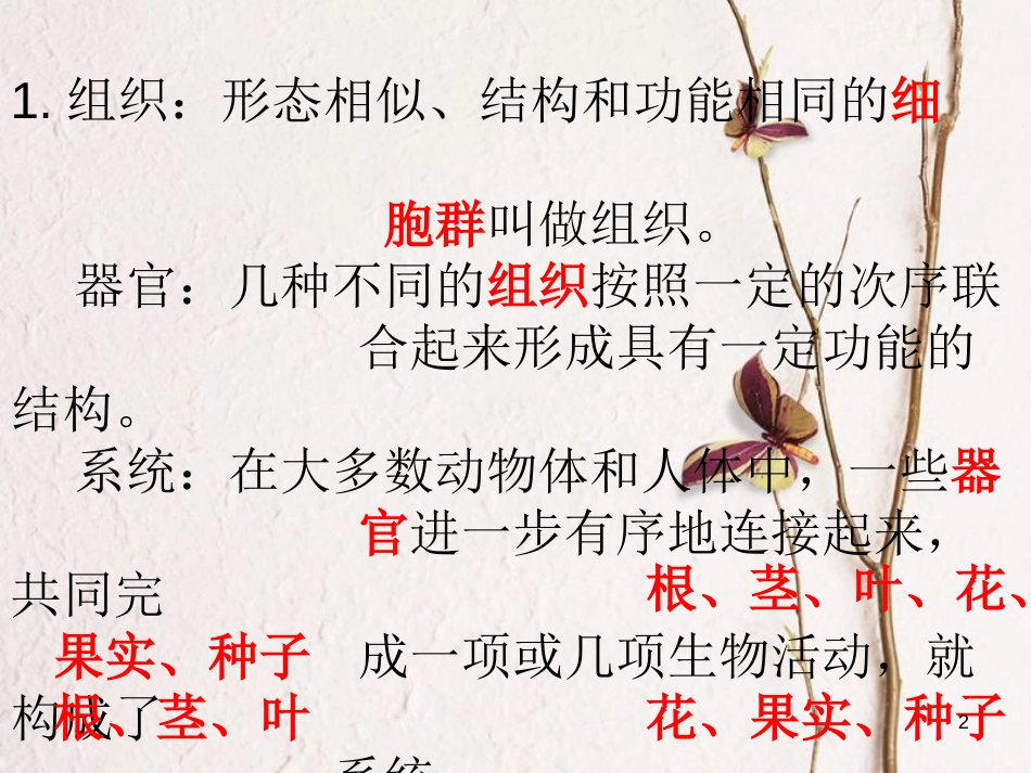 七年级生物下册 第四单元 第9章 生物体有相似的结构层次课件 （新版）苏科版_第2页