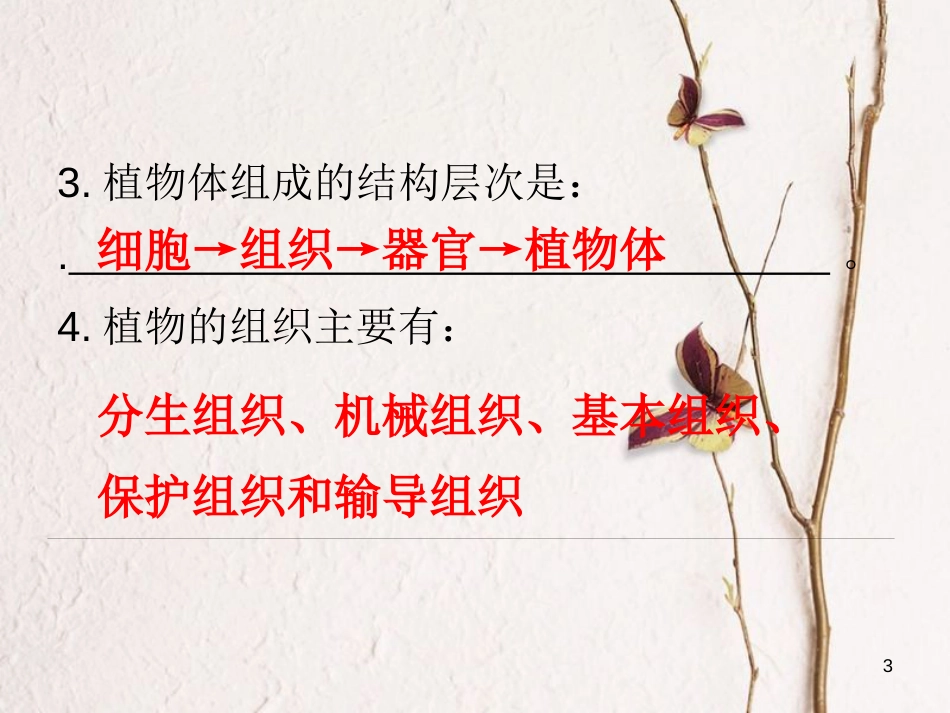 七年级生物下册 第四单元 第9章 生物体有相似的结构层次课件 （新版）苏科版_第3页