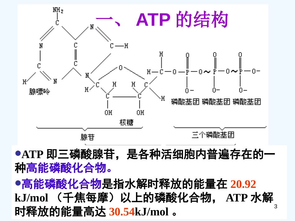 高中生物 第5章《细胞的能量供应和利用》课件 新人教版必修1_第3页