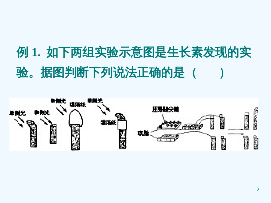 高中生物《第三章 第一节 植物生长素的发现》课件4 新人教版必修3_第2页