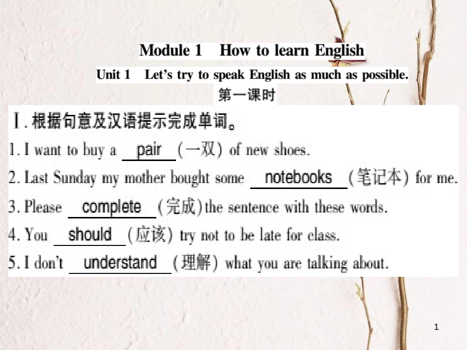 广西北部湾八年级英语上册 Module 1 How to learn English Unit 1 Let's try to speak English as much as possible习题课件 （新版）外研版_第1页