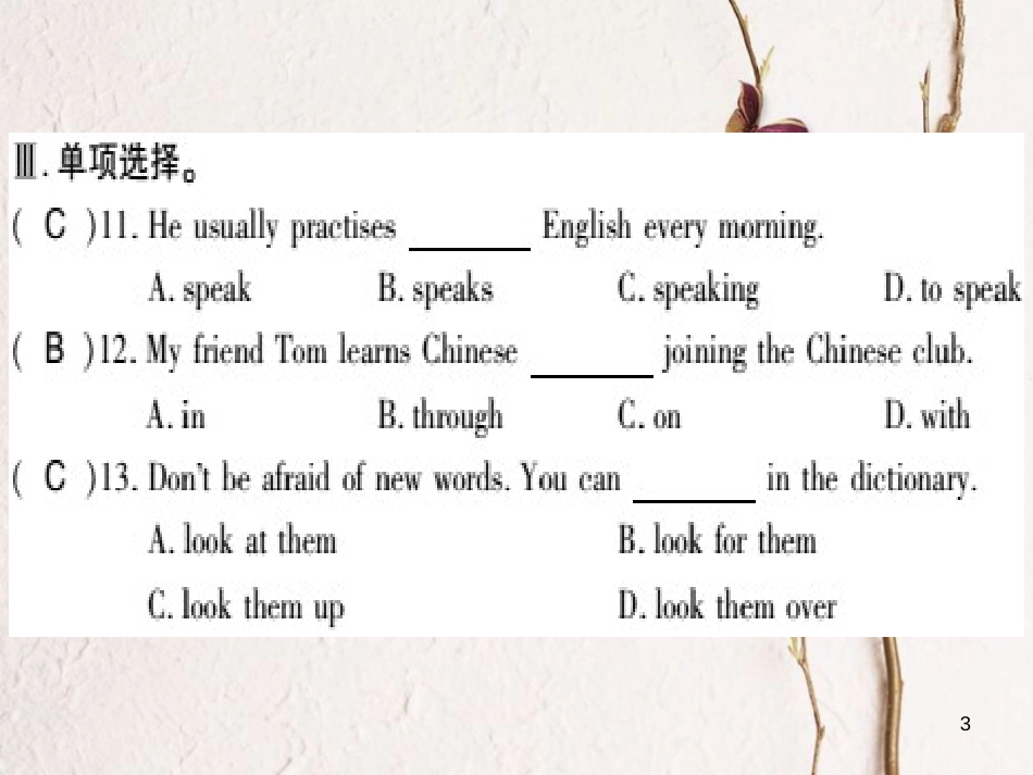 广西北部湾八年级英语上册 Module 1 How to learn English Unit 1 Let's try to speak English as much as possible习题课件 （新版）外研版_第3页