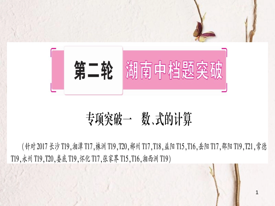 （湖南专版）中考数学总复习第二轮湖南中档题突破专项突破1数、式的计算课件_第1页