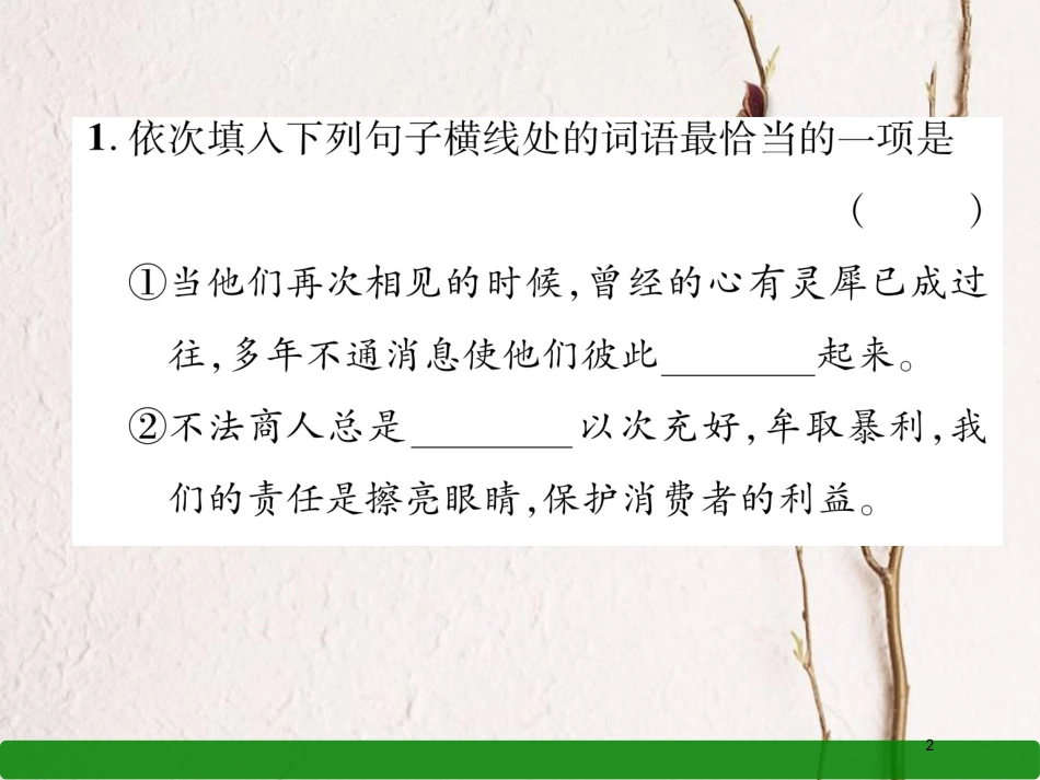 贵州省毕节市中考语文 专题二 词语的理解与运用课件_第2页