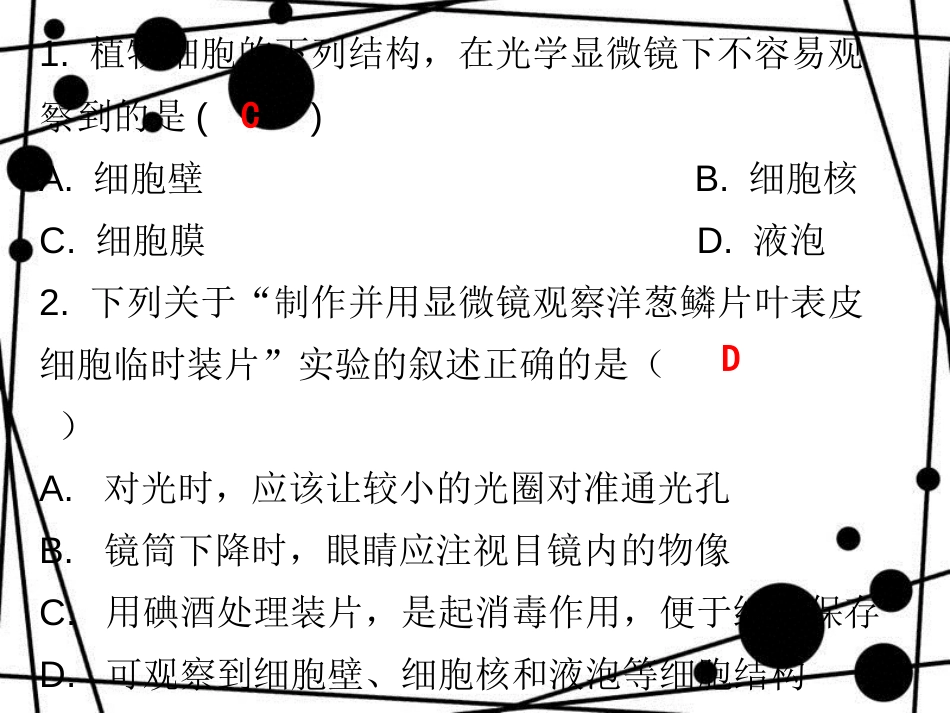 七年级生物上册 第二单元 第一章 第二节 植物细胞课堂十分钟课件 （新版）新人教版_第2页