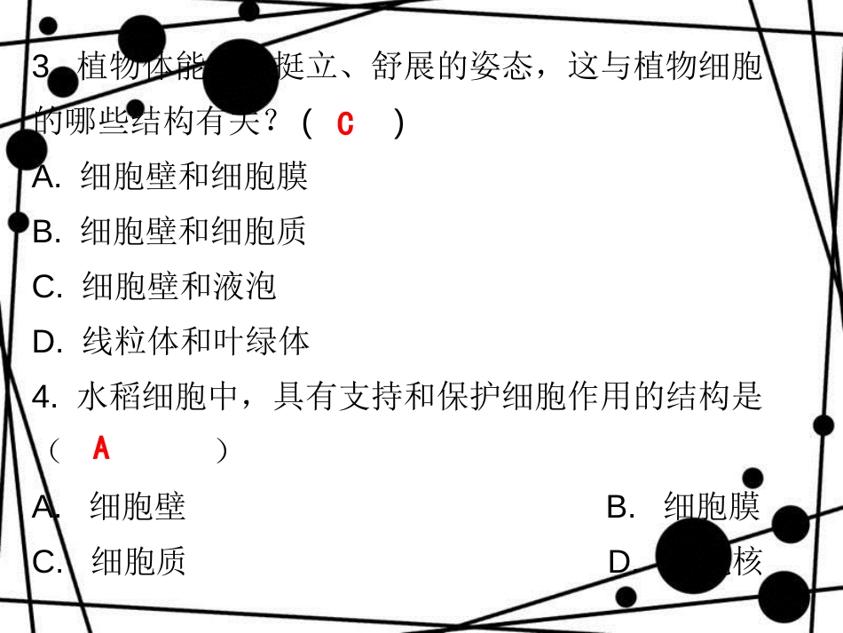 七年级生物上册 第二单元 第一章 第二节 植物细胞课堂十分钟课件 （新版）新人教版_第3页