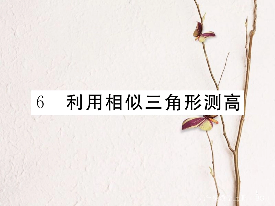（河南专版）九年级数学上册第四章图形的相似4.6利用相似三角形测高习题讲评课件（新版）北师大版_第1页