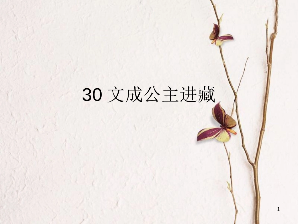 四年级语文下册 第8单元 30.文成公主进西藏课件1 新人教版_第1页