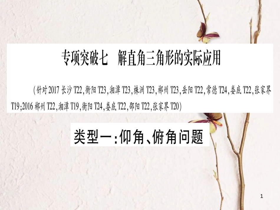 （湖南专版）中考数学总复习第二轮湖南中档题突破专项突破7解直角三角形的实际应用课件_第1页