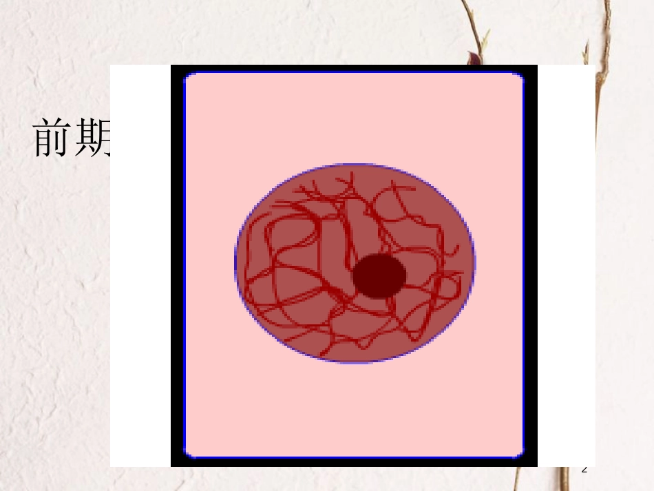 辽宁省北票市高中生物 第六章 细胞的生命历程 6.1 细胞的增殖（2）课件 新人教版必修1_第2页