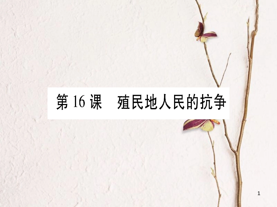 （广西专版）九年级历史上册第16课殖民地人民的抗争习题课件新人教版_第1页