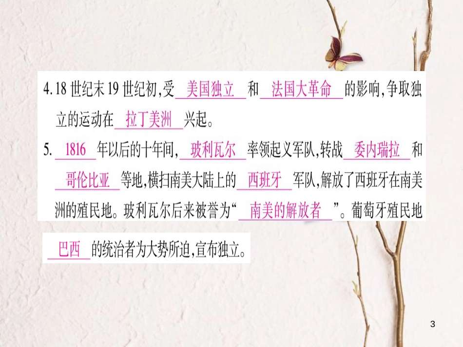 （广西专版）九年级历史上册第16课殖民地人民的抗争习题课件新人教版_第3页