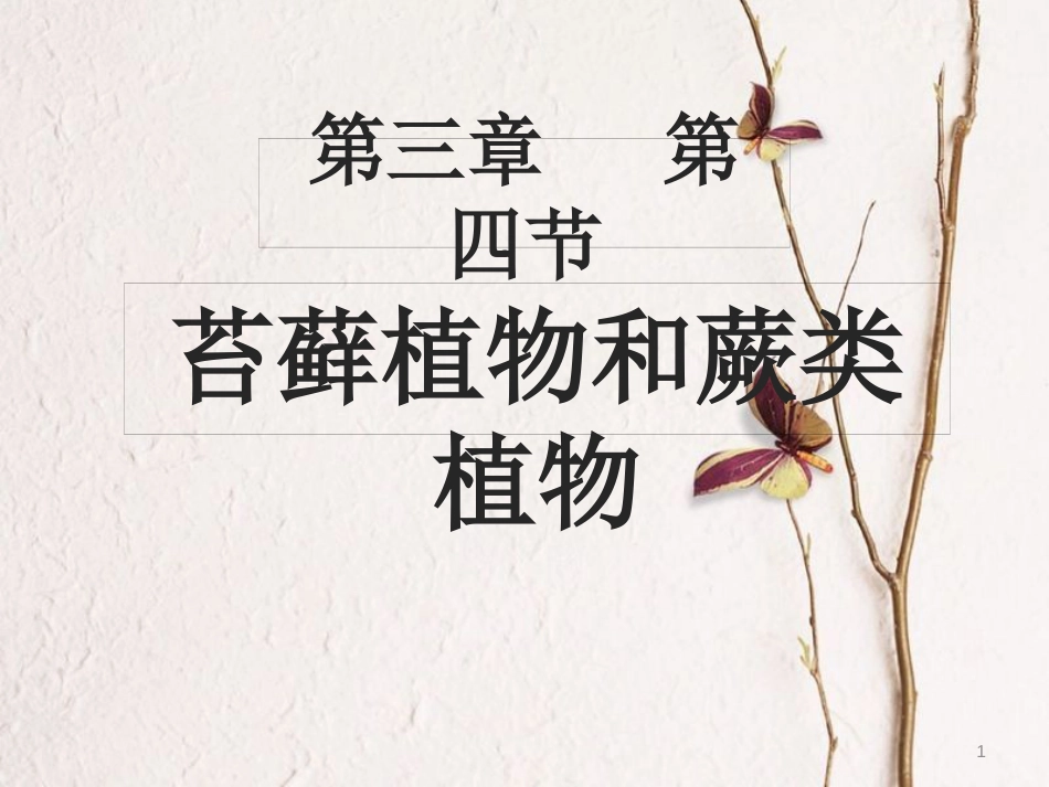 七年级生物上册 第三章 第四节 苔藓植物与蕨类植物课件 （新版）冀教版_第1页