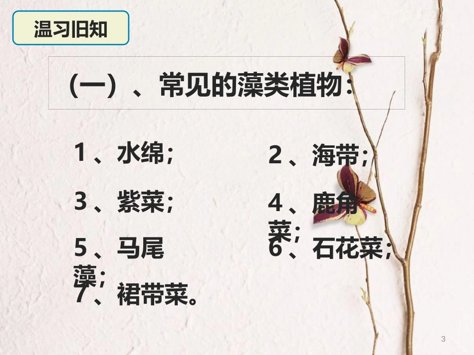 七年级生物上册 第三章 第四节 苔藓植物与蕨类植物课件 （新版）冀教版_第3页