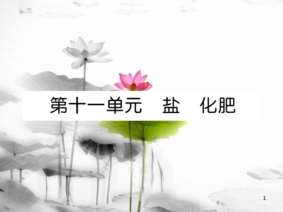 中考化学总复习第一编第11单元盐化肥（精讲）课件_第1页