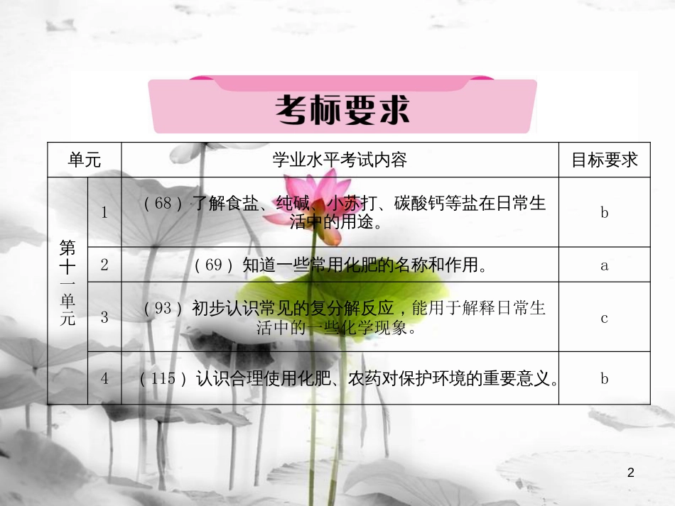 中考化学总复习第一编第11单元盐化肥（精讲）课件_第2页