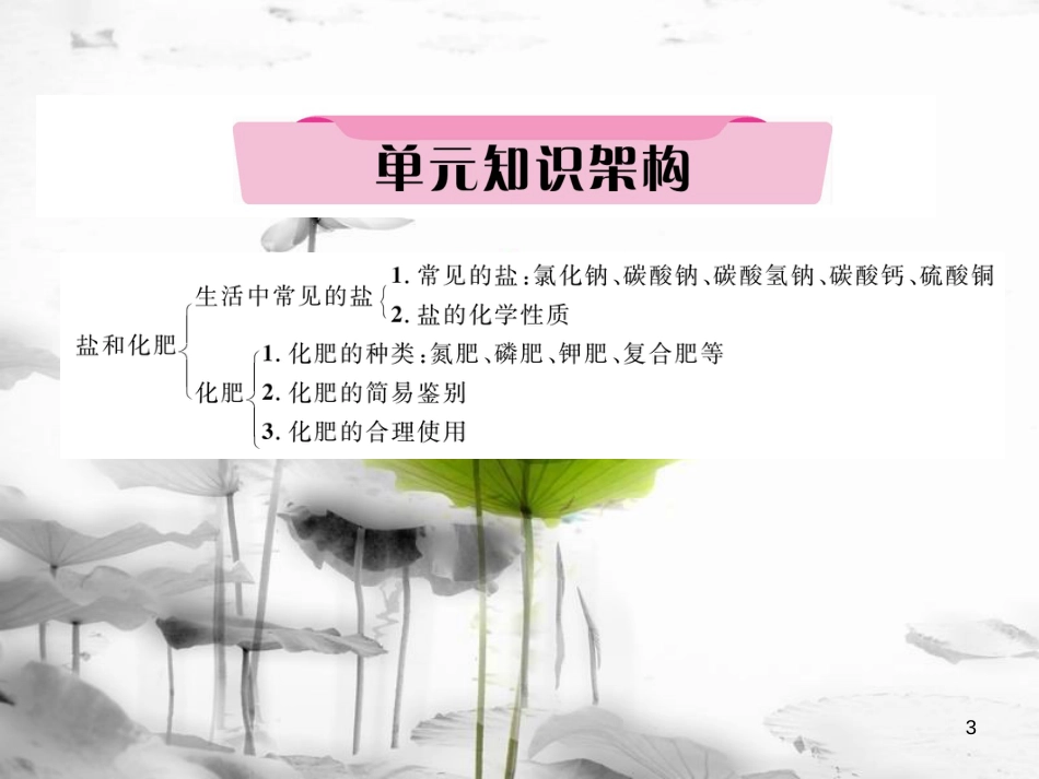 中考化学总复习第一编第11单元盐化肥（精讲）课件_第3页