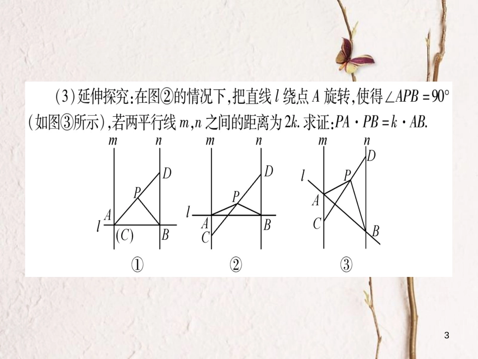 湖南省中考数学复习 第3轮 压轴题突破 重难点突破2 圆形的动态探究题课件_第3页