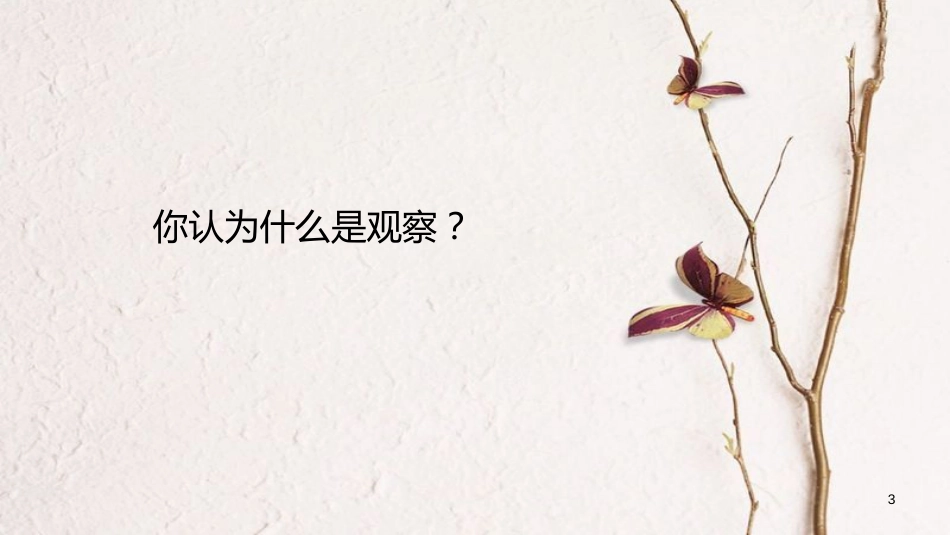 七年级生物上册 第一单元 第一章 第一节《生物的特征》课件 （新版）新人教版_第3页