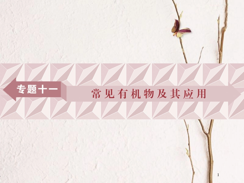 广东省年高中化学 专题十一 常见有机物及其应用课件 新人教版_第1页