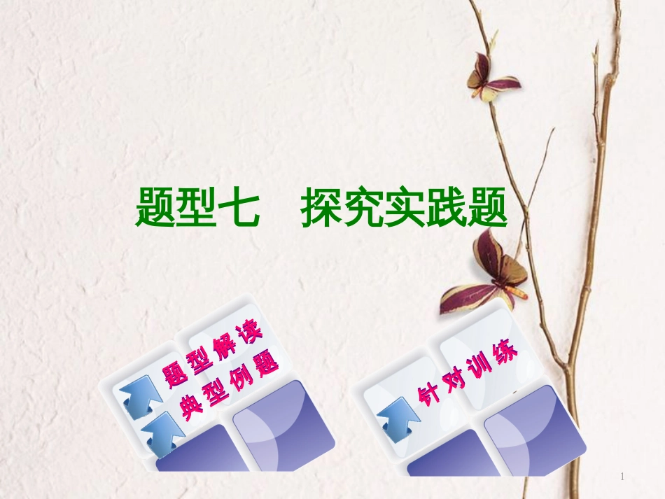 （湖南专版）中考政治题型七探究实践题复习课件_第1页