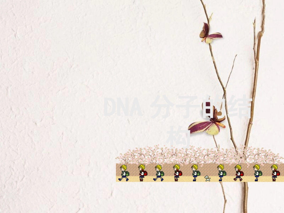 辽宁省沈阳市高中生物 第三章 细胞的基本结构 3.2 DNA结构课件 新人教版必修1_第2页
