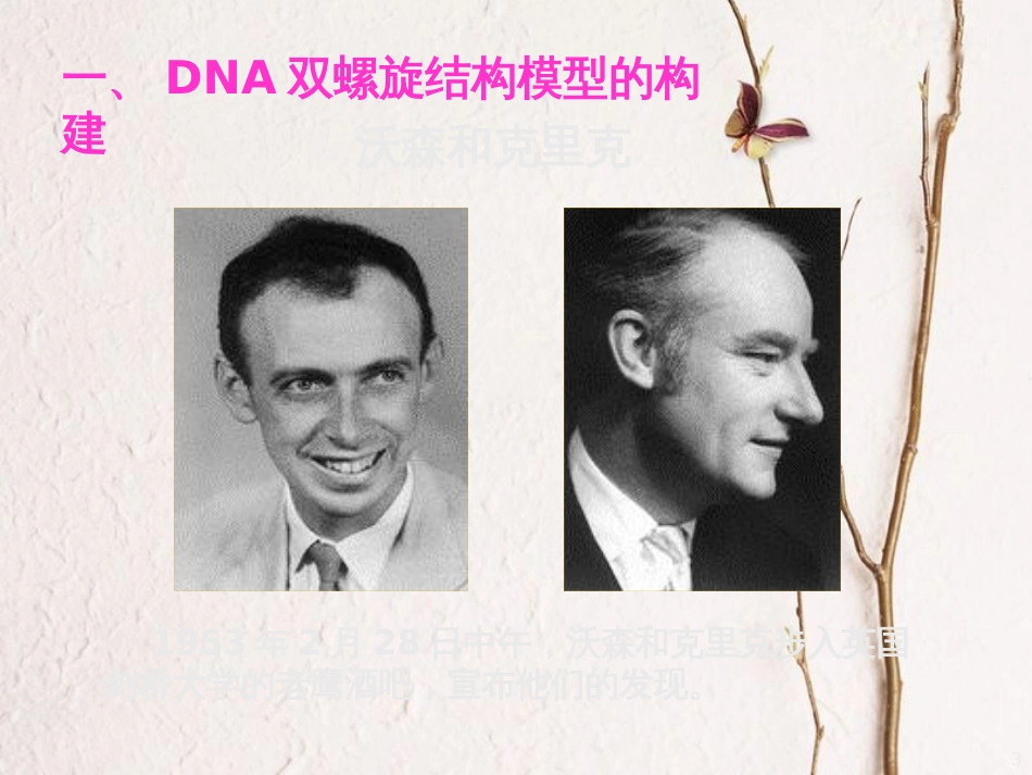 辽宁省沈阳市高中生物 第三章 细胞的基本结构 3.2 DNA结构课件 新人教版必修1_第3页