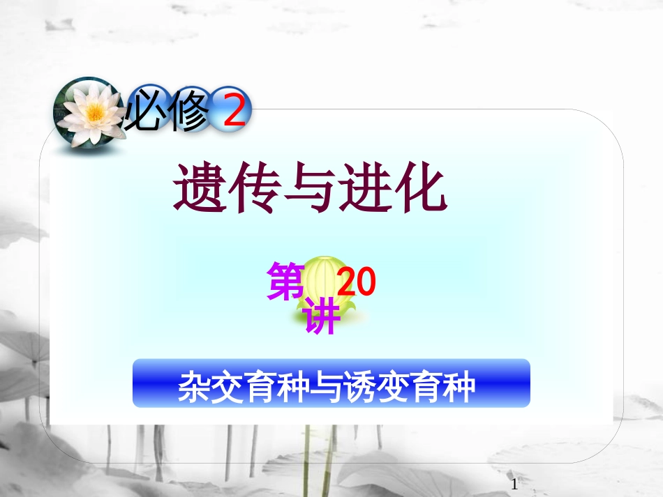（山西专用）高三生物一轮复习 第20讲 杂交育种与诱变育种课件 新人教版必修2_第1页