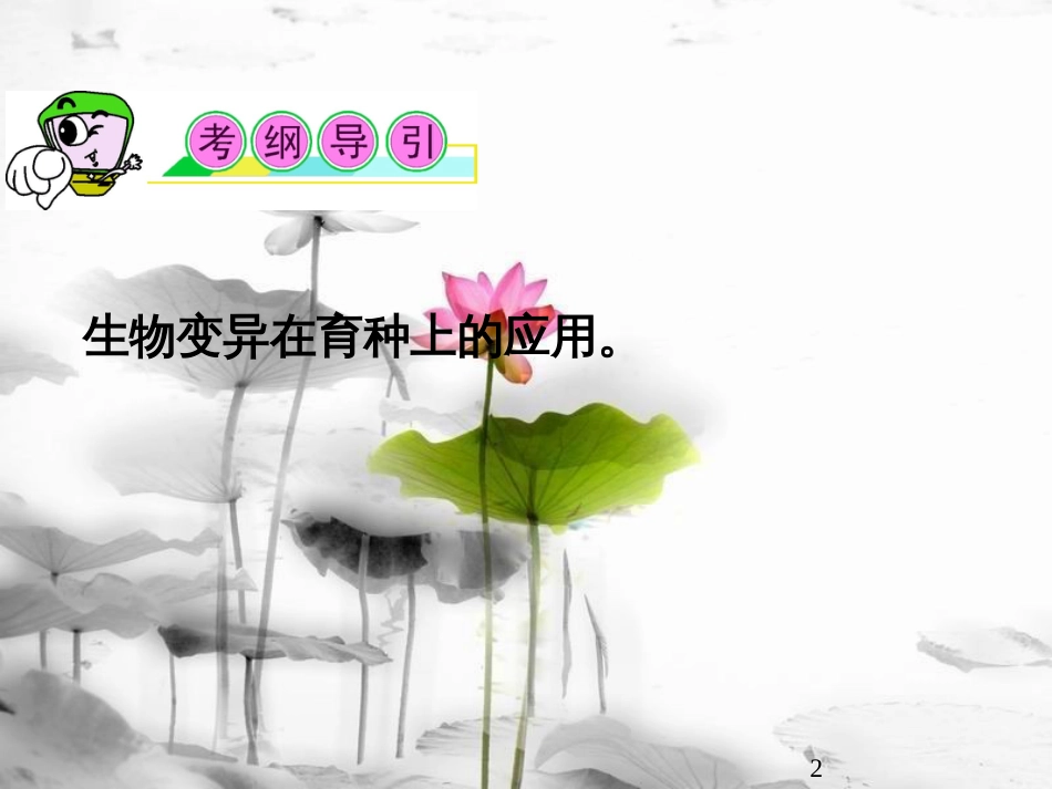 （山西专用）高三生物一轮复习 第20讲 杂交育种与诱变育种课件 新人教版必修2_第2页