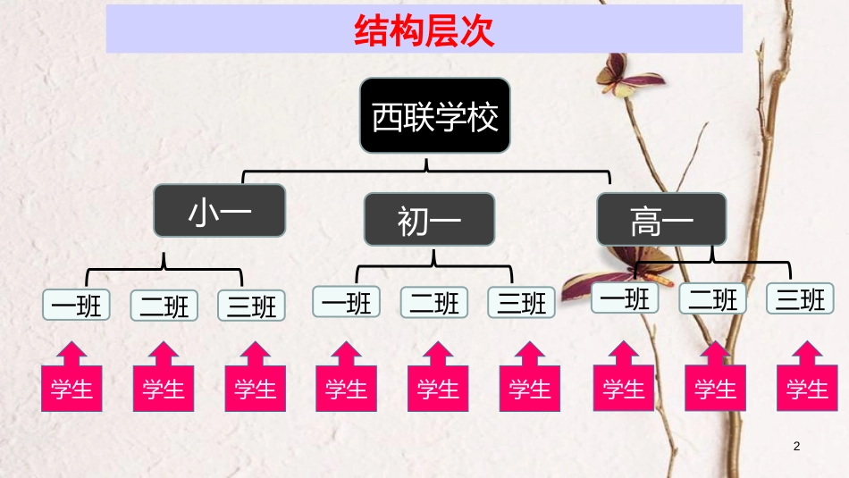 七年级生物上册 2.2.2 动物体的结构层次课件（新版）新人教版_第2页