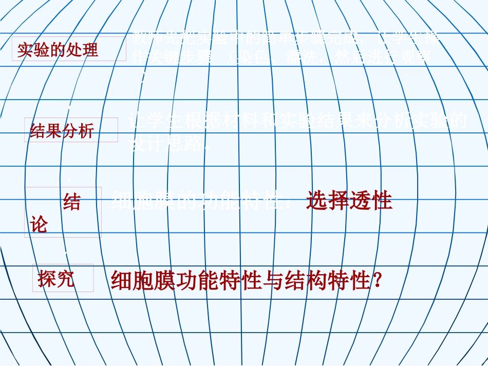 高中生物 2.2《细胞膜和细胞壁》课件 浙科版必修1_第3页